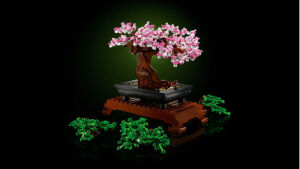 10281 icons Bonsai Tree - 5