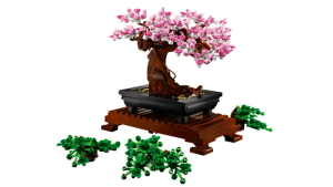 10281 icons Bonsai Tree - 6