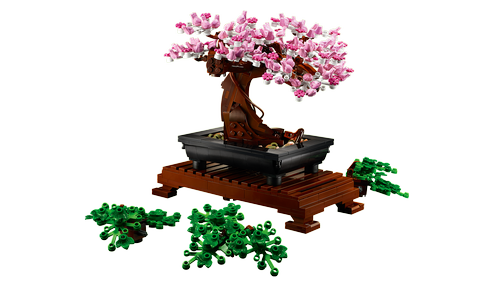 10281 icons Bonsai Tree - 6