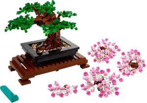 10281 icons Bonsai Tree - 7