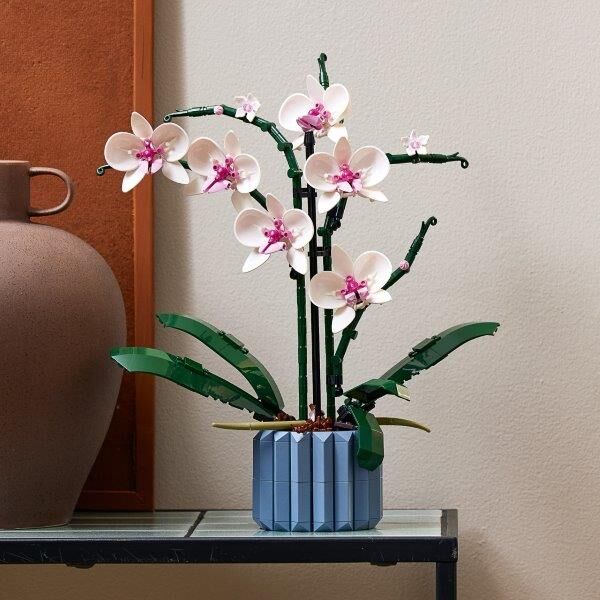 10311 Botanicals Orchid - 10