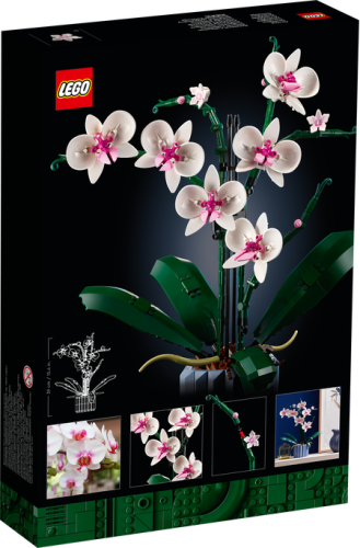 10311 Botanicals Orchid - 3