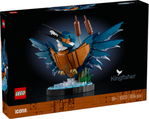 10331 Icons Kingfisher Bird - 2