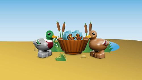 10581 Duplo Forest: Ducks - 6