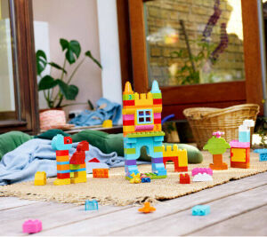 10887 duplo Creative Fun - 13