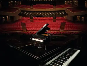 21323 IDEAS Grand Piano - 13