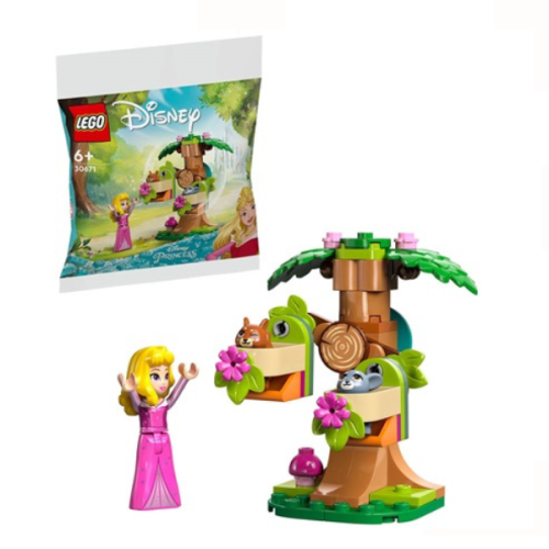 30671 Disney Aurora's Forest Playground - 1