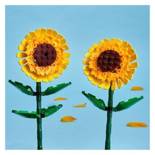 40524 Iconic Sunflowers - 5