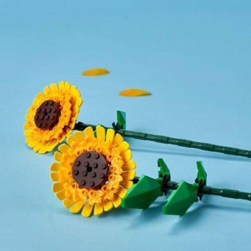 40524 Iconic Sunflowers - 7