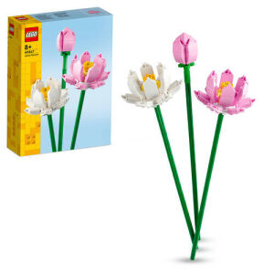 40647 Botanicals Lotus Flowers - 1