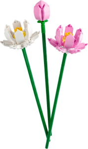 40647 Botanicals Lotus Flowers - 6