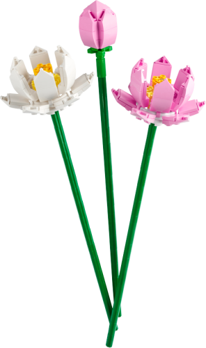 40647 Botanicals Lotus Flowers - 6