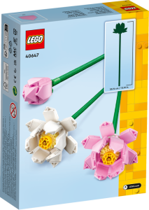 40647 Iconic Lotus Flowers - 3