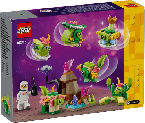 40715 Space Aline Pack - 3