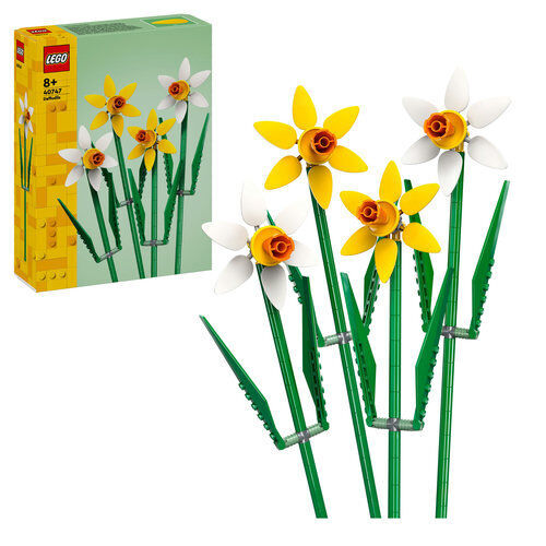 40747 Botanicals Daffodils - 1