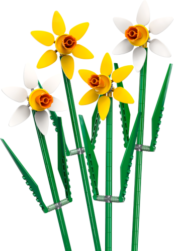 40747 Botanicals Daffodils - 7