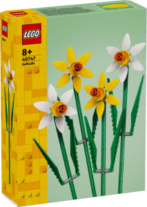 40747 Botanicals Daffodils - 2