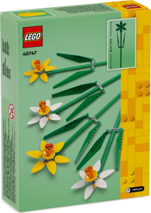 40747 Iconic Daffodils - 3